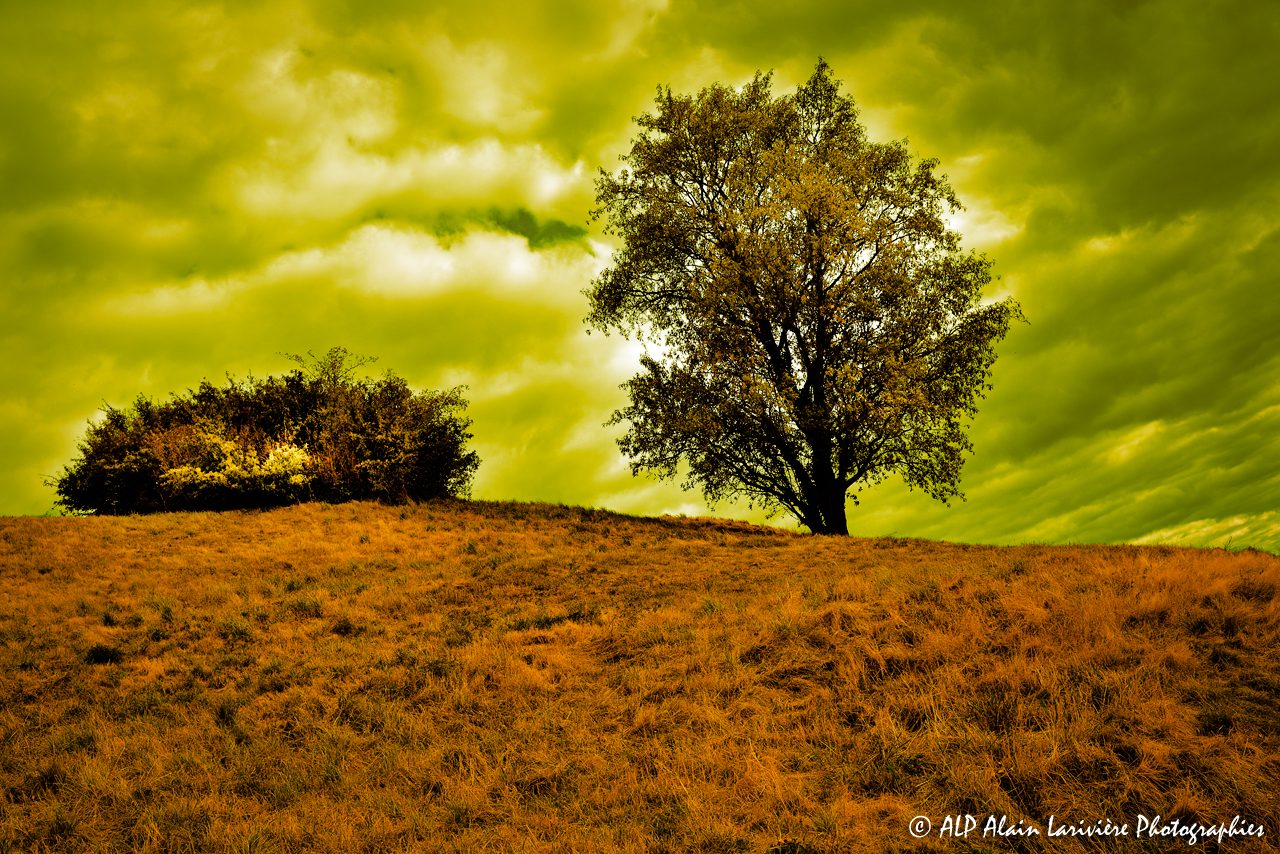 Un monde toxique nous attend -3-