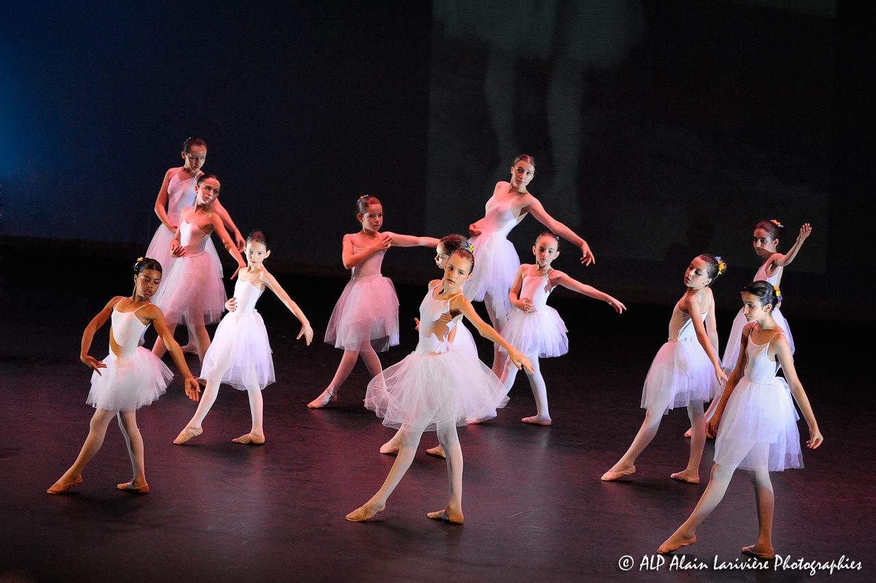 Spectacle chorégraphique à Fleury-les-Aubrais 25-06-2011 -19-